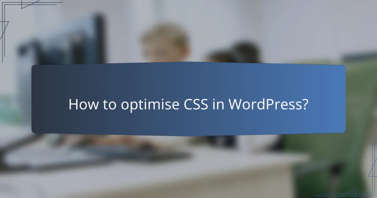 How to optimise CSS in WordPress?
