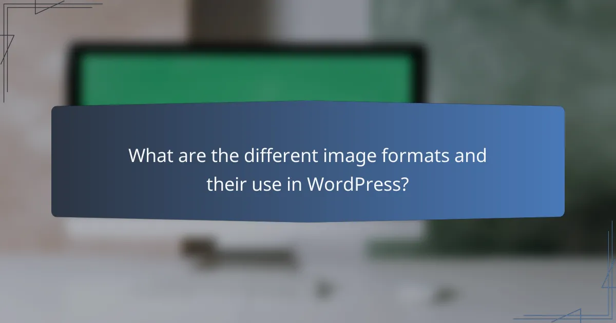 What are the different image formats and their use in WordPress?