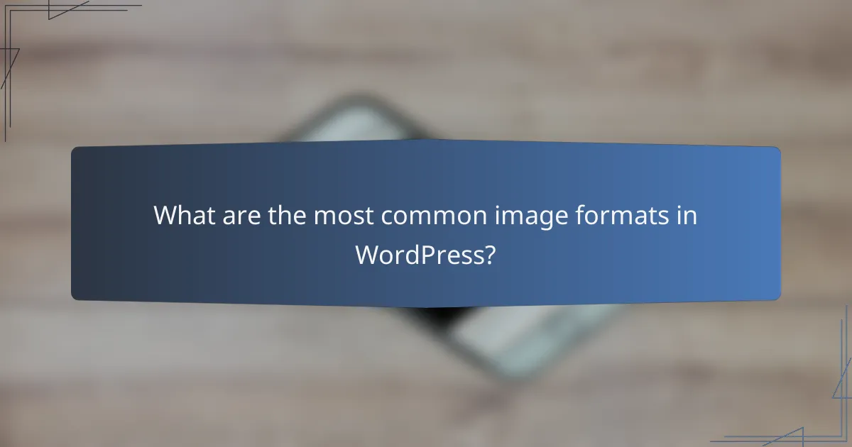 What are the most common image formats in WordPress?