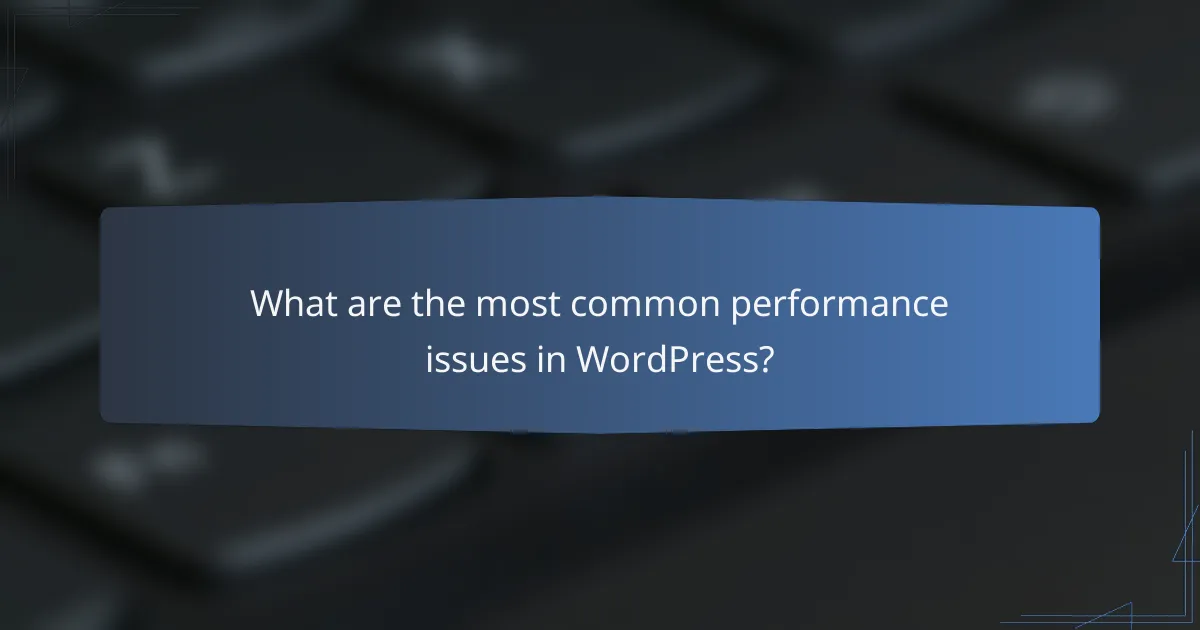 What are the most common performance issues in WordPress?